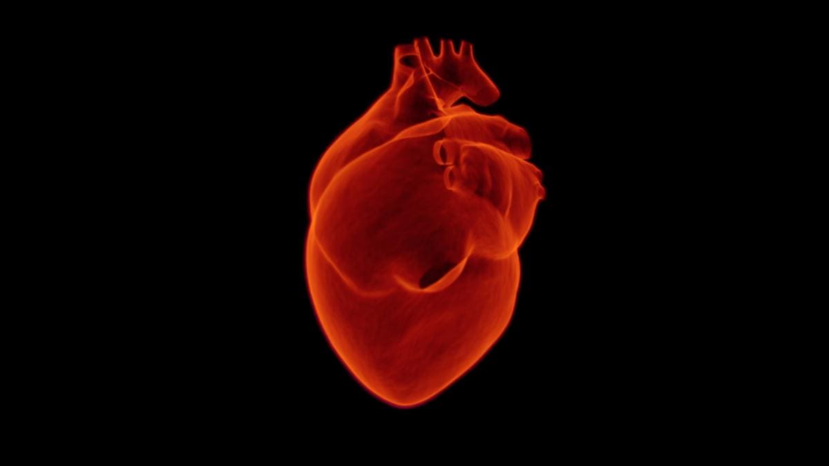 Ciri-ciri asam lambung naik ke jantung