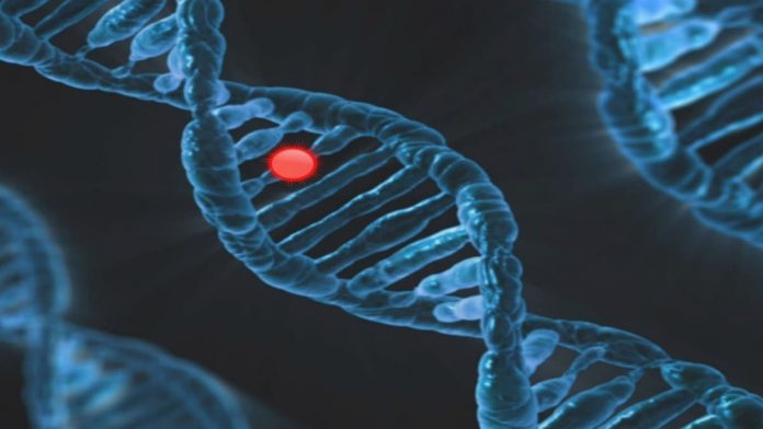 Pernyataan Tentang Kromosom DNA dan Inti Sel yang Benar Adalah