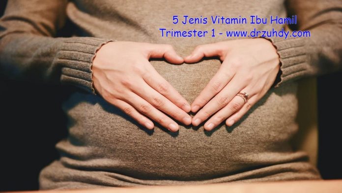 Vitamin Ibu Hamil Trimester 1